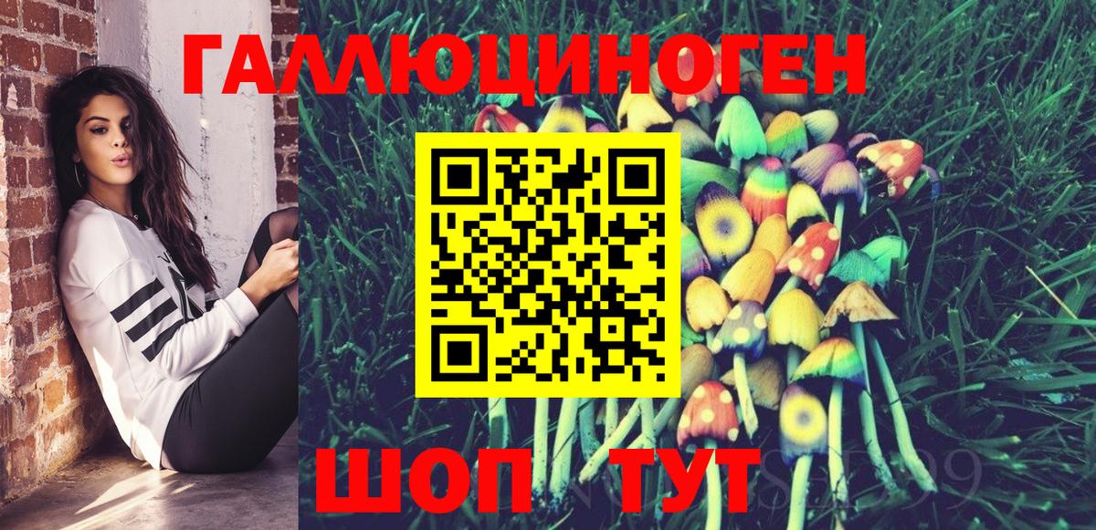 Псилоцибиновые грибы Psilocybine cubensis Россошь