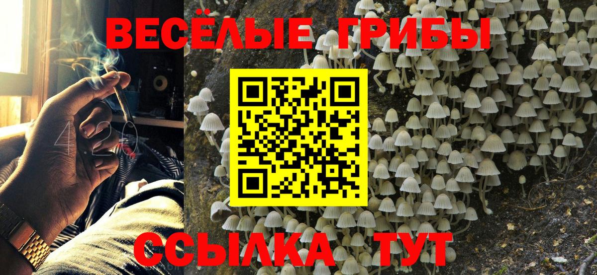 Россошь  Псилоцибиновые грибы мухоморы  Вход с VPN 
